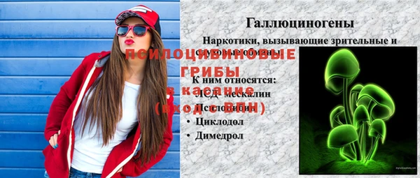 гидра Алексин